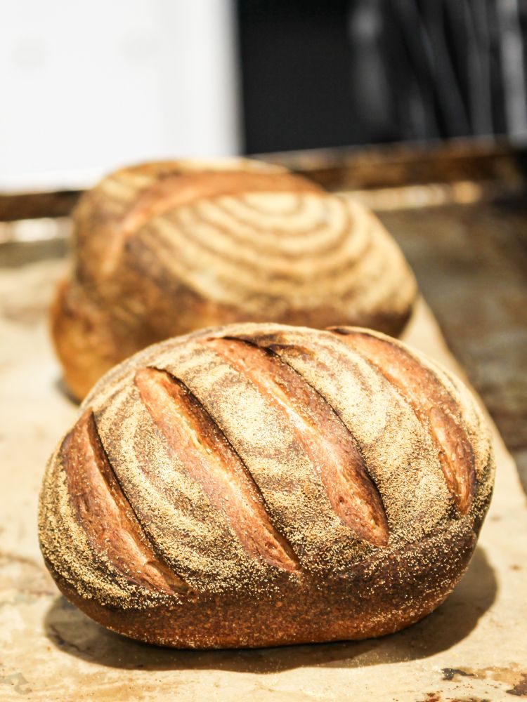 two sourdough loaves made on a sourdough bread making course