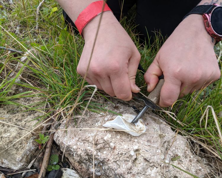 making a fire using sparks from metal on a bushcraft experience
