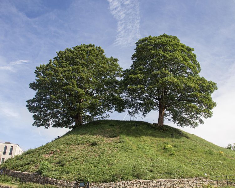 Castle Mound at oxford castle and prison