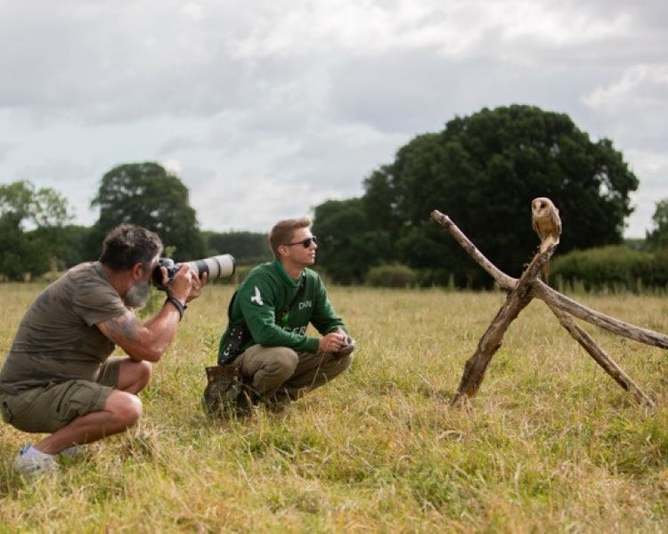 Man taking photo of bird of prey on photography experience