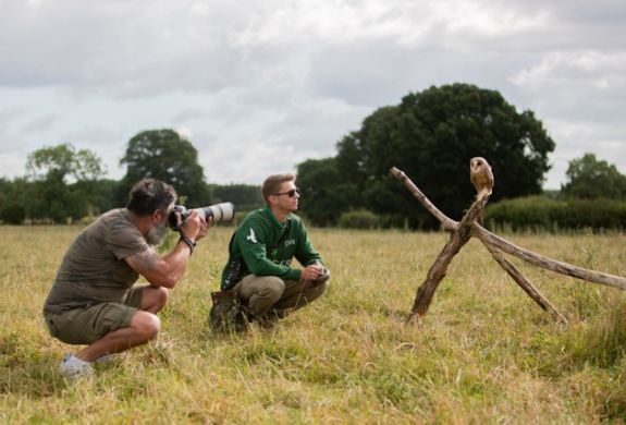 Man taking photo of bird of prey on photography experience