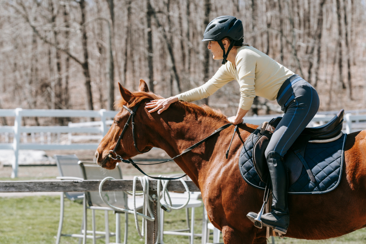 horse rider riding through a green field