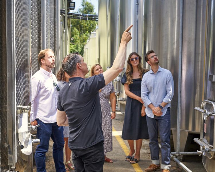 tour group see wine making process at chapel down winery