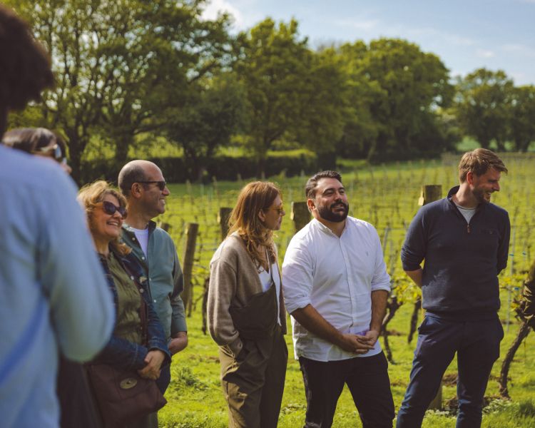 group listening to guide outside at vineyard at chapel down winery
