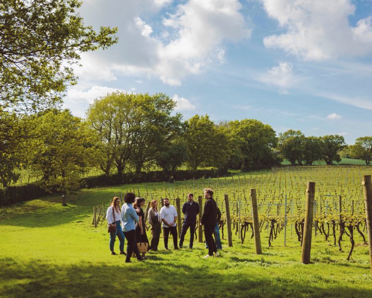 Tour group at chapel down vineyard listening to guide