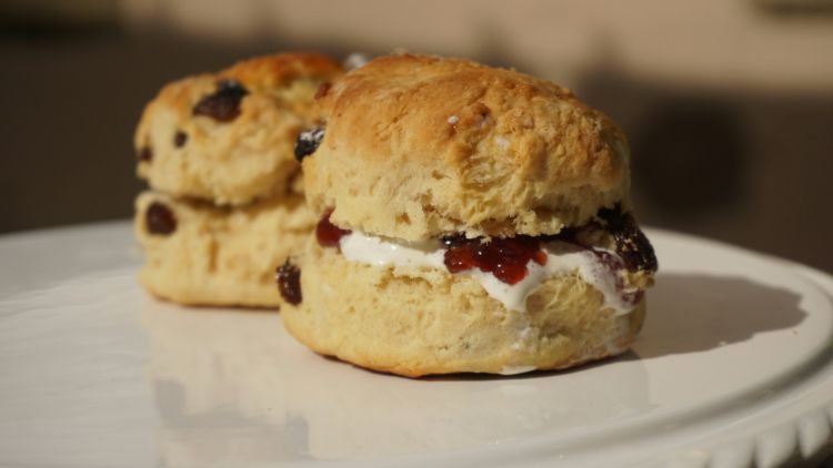 Stock image of scones wth jam and cream