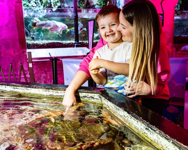 mum and son at the rock pool exhibit at a sea life aquarium