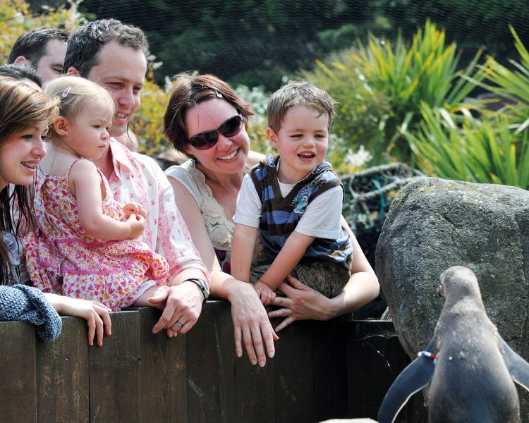 families watching penguins at sea life centre weymouth