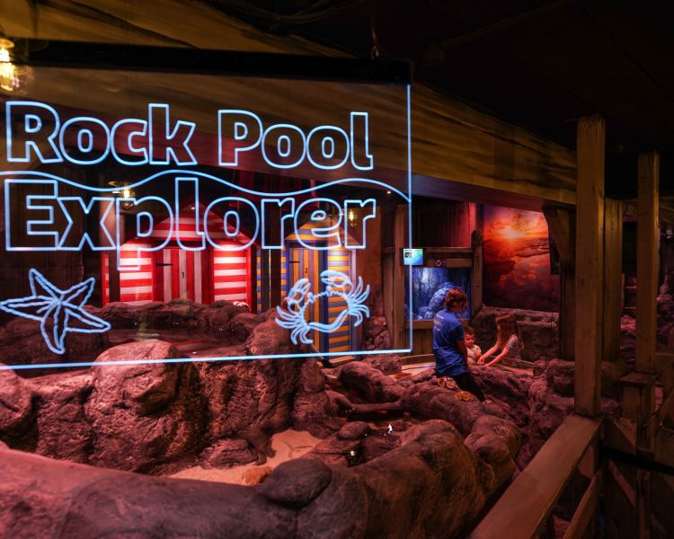 the rock pool explorer exhibit at a sea life aquarium