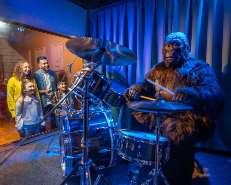 family looking at gorilla on drums at cadbury world