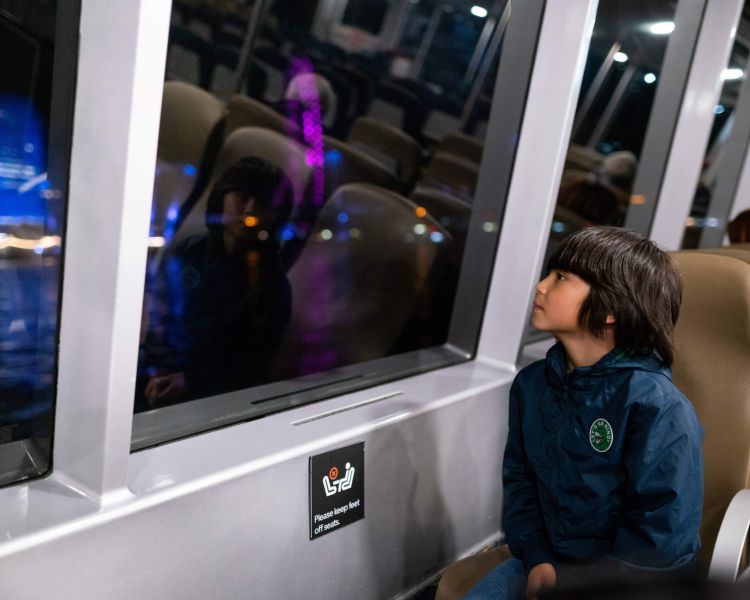 boy looking out window of uber boat on evening cruise to see illuminated river art installation