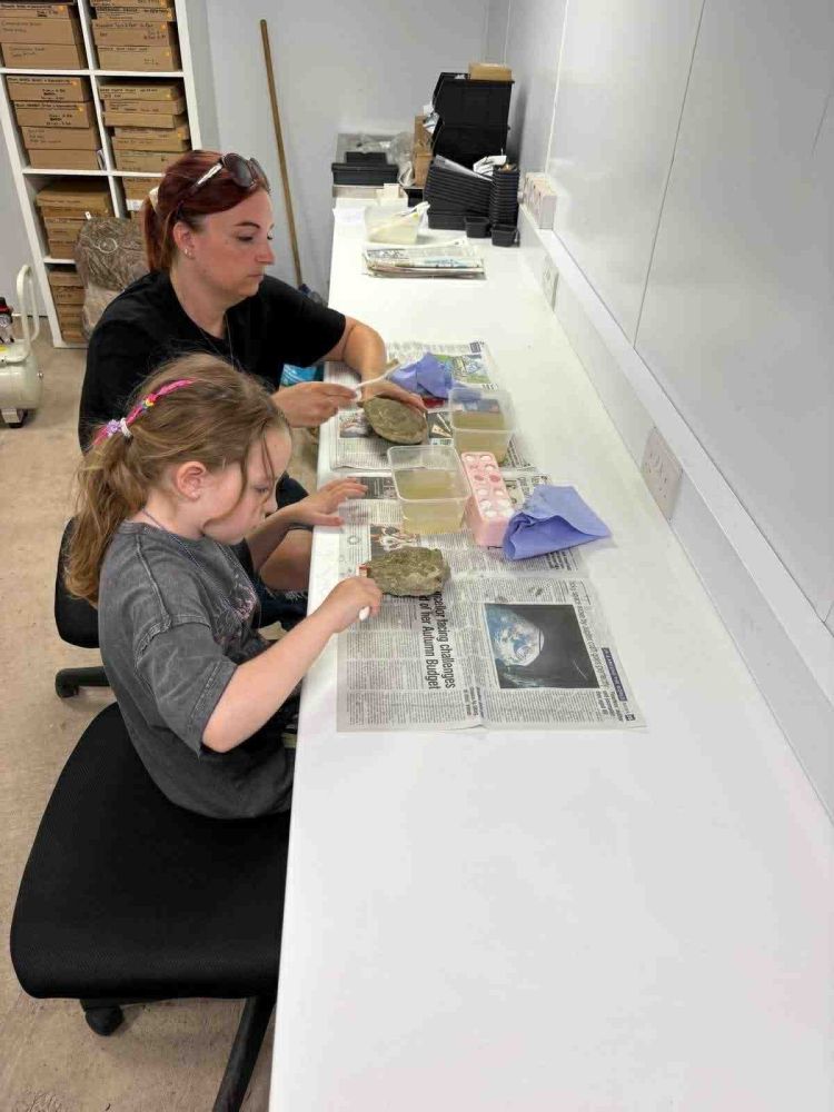 girl in lab cleaning fossil on a young palaeontologist fossil experience at exotic zoo telford