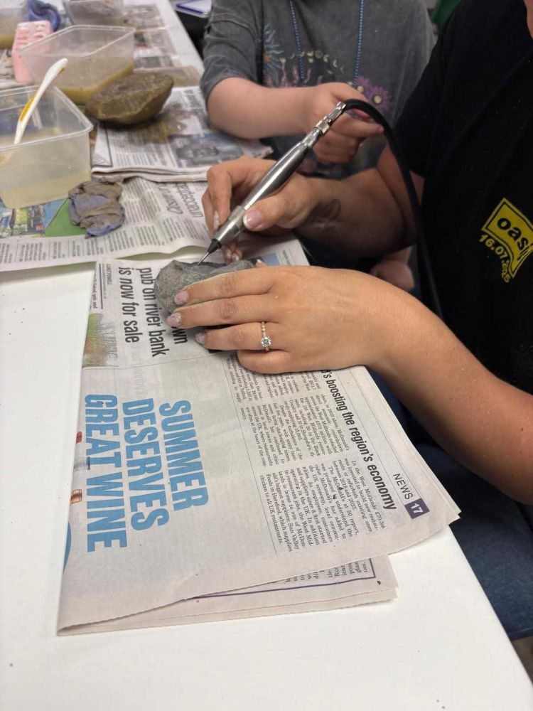 examining a fossil on a young palaeontologist fossil experience at exotic zoo telford