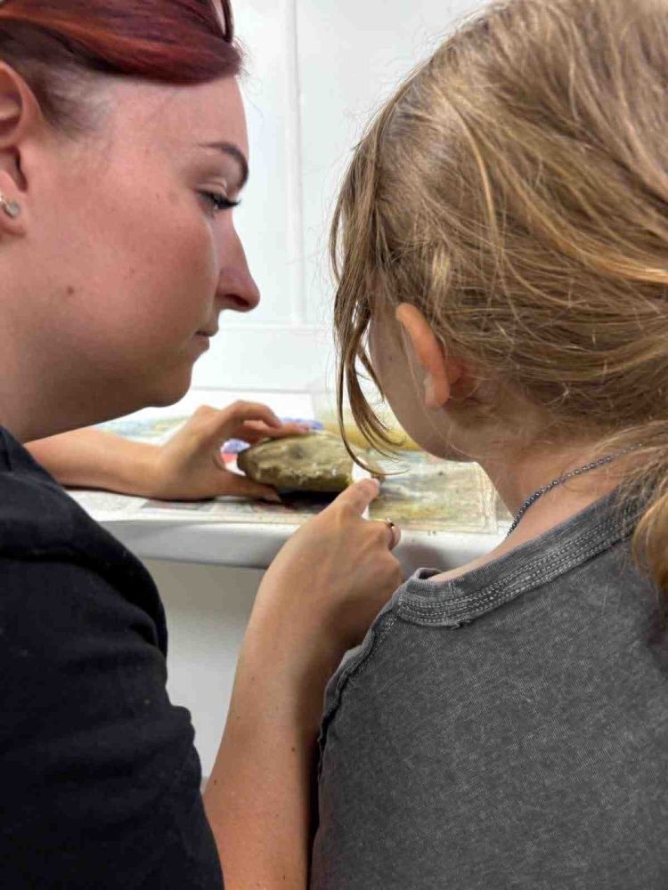 young girl being shown how to clean a fossil on a young palaeontologist fossil experience at exotic zoo telford