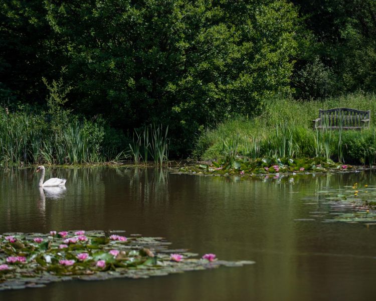 lake on glamping site in dorset