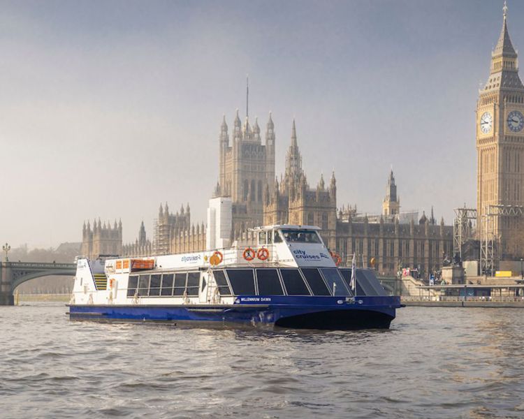 citycruises river cruise on thames