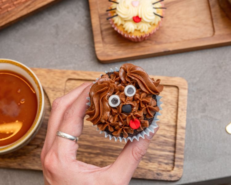 Cat and dog decorated cupcakes with afternoon tea at jack and beyond