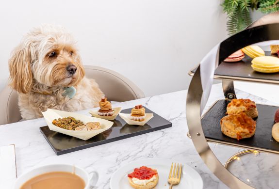dog at table with its own afternoon tea at jack and beyond