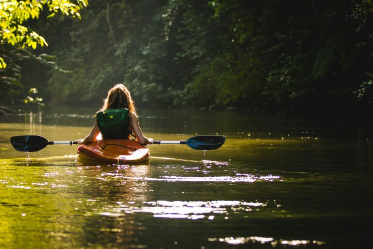 Kayak
