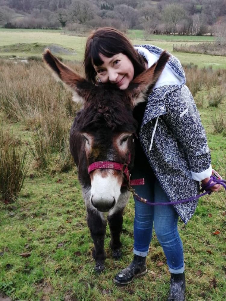 woman next to donkey on a donkey walk in wales