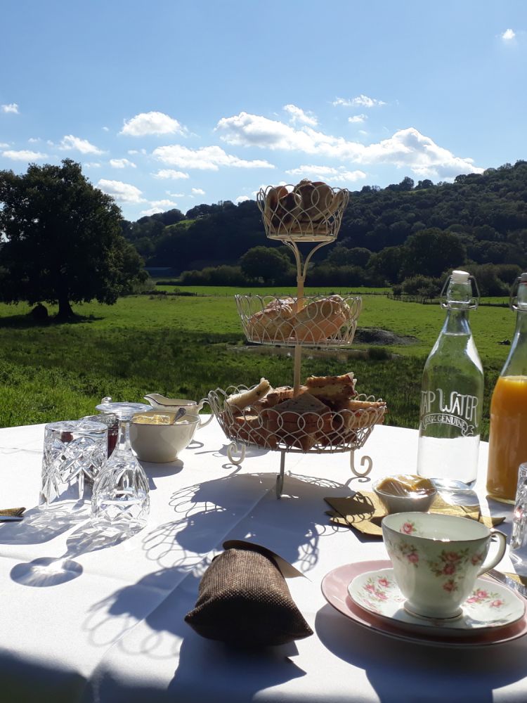 cream tea set up on a table in alpaca field on welsh farm