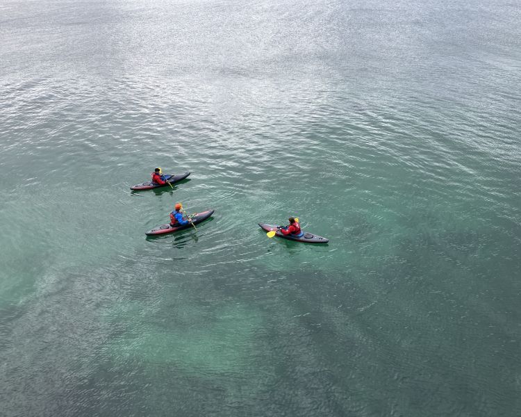 aerial shot of people on kayaking experience off brighton coast