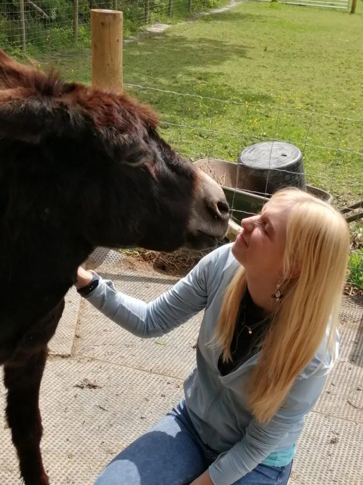 woman with donkey on a farm in wales