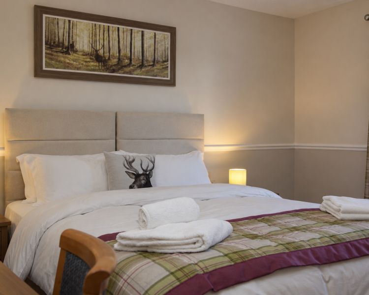 King room at little silver country hotel