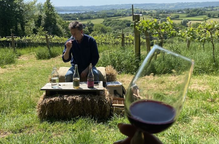 wine and cheese tour in somerset