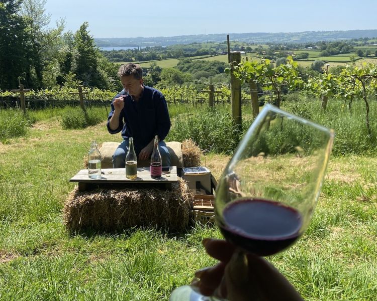 wine and cheese tour in somerset