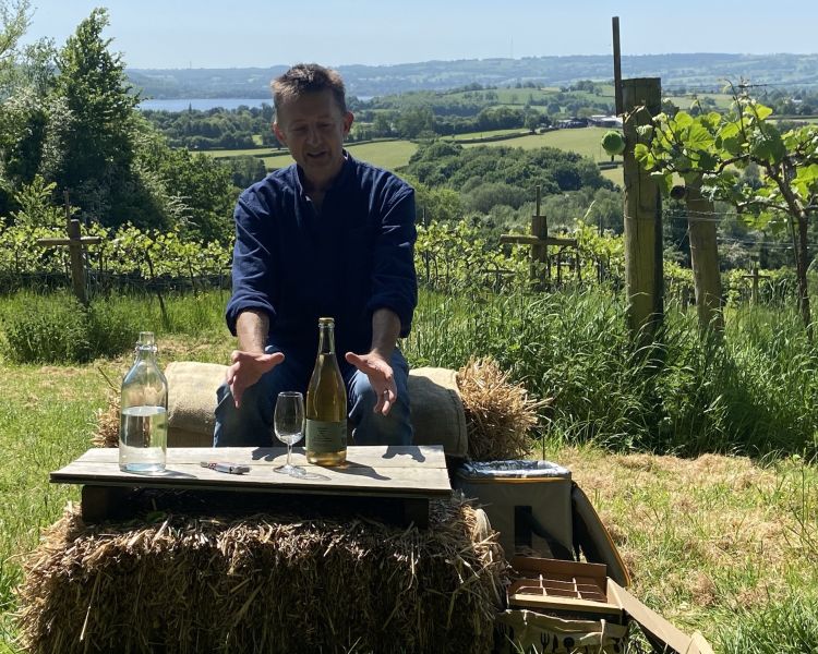 wine and cheese tour in somerset
