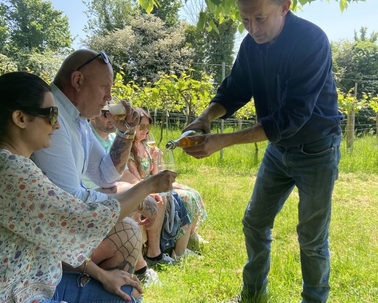 wine and cheese tour in somerset