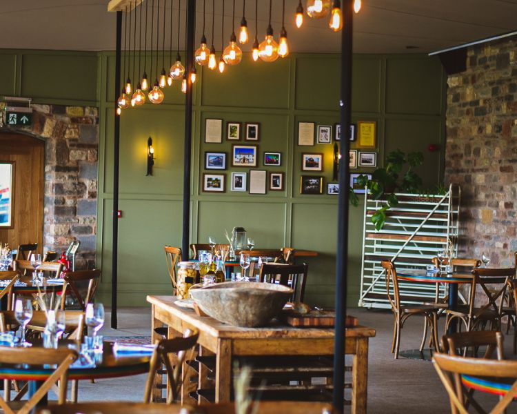 wine and cheese tour in somerset