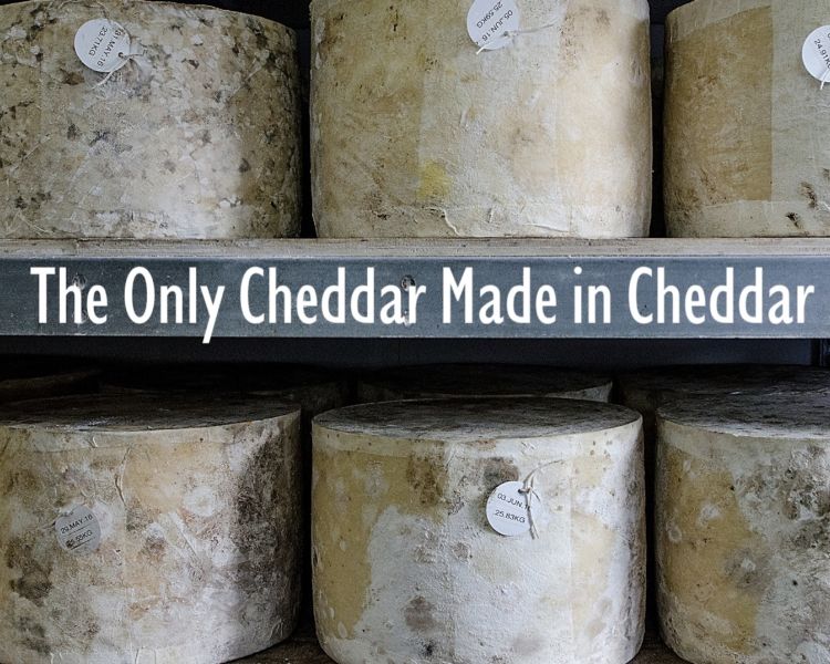 wine and cheese tour in somerset