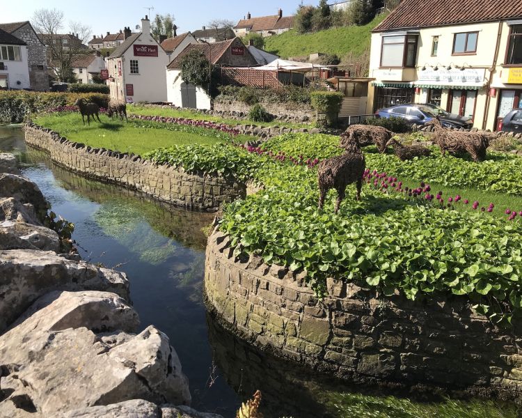 wine and cheese tour in somerset