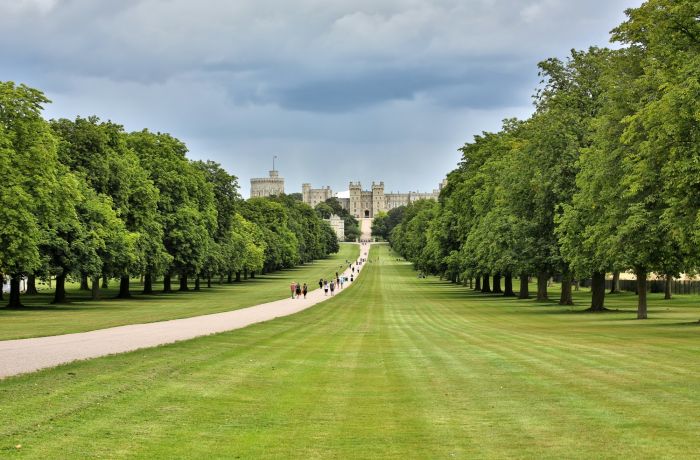 view of a winding tree lined path leading towards a castle far in the background