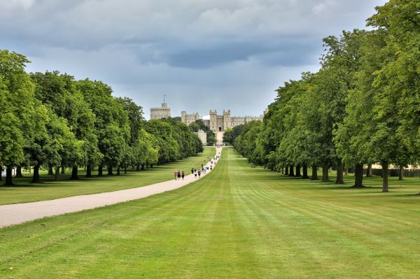 view of a winding tree lined path leading towards a castle far in the background