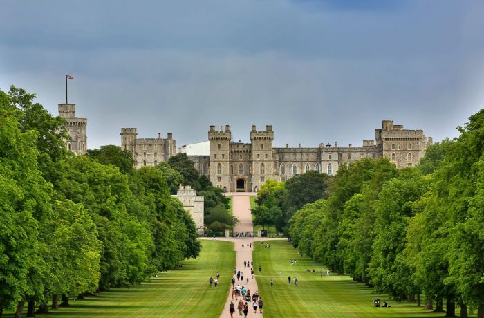 people walking up a tree lined path towards a castle