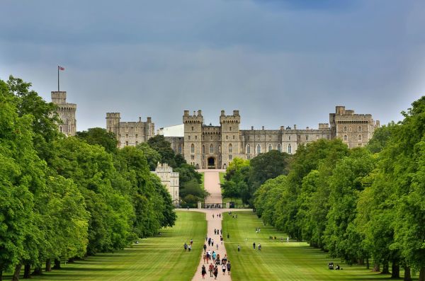 people walking up a tree lined path towards a castle