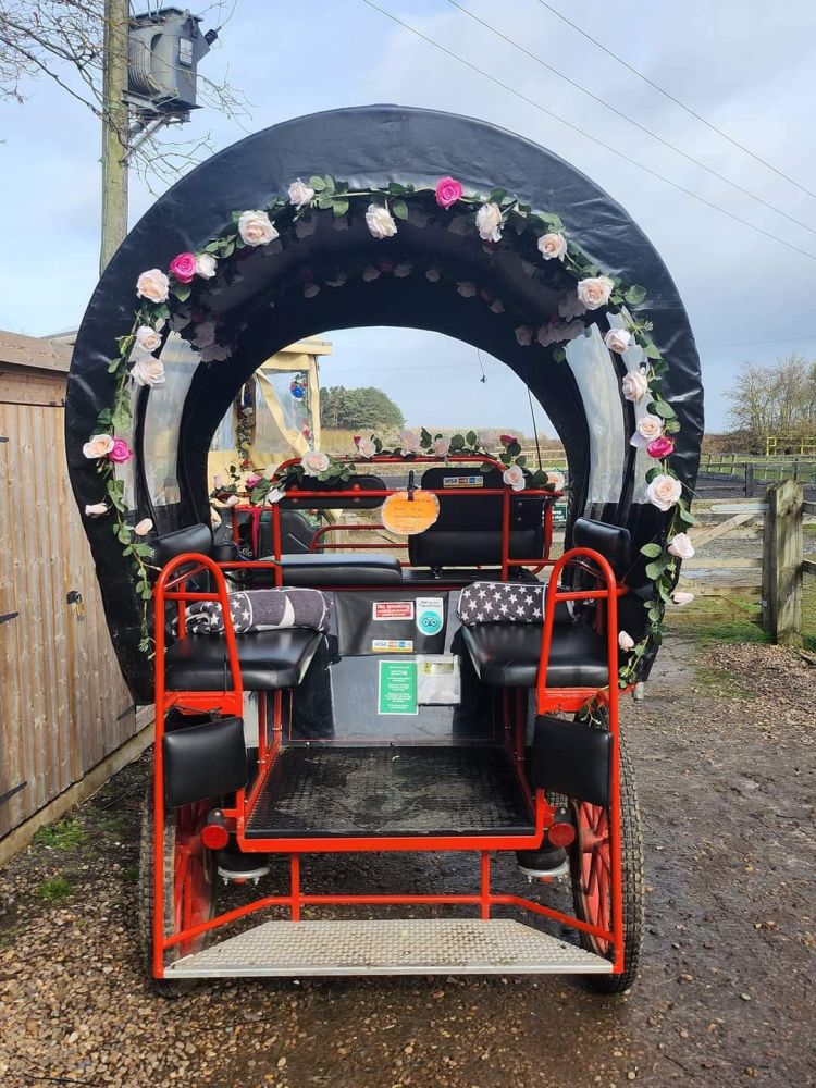 a carriage with its roof decorated in flowers seen on a horse carriage ride experience
