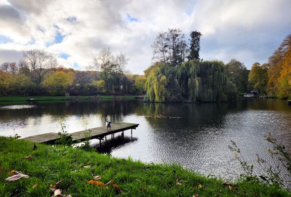 a photo of leigh mill lake with trees surrounding it for a fly fishing experience in surrey