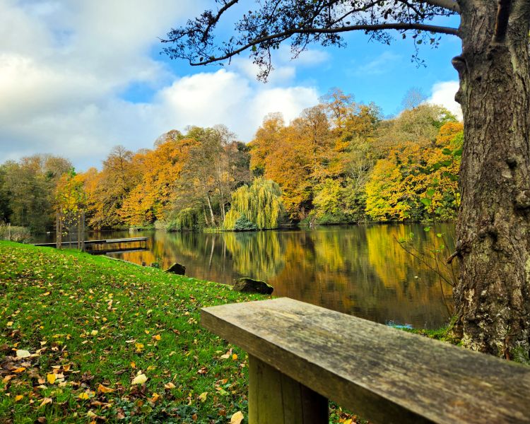 edge of leigh mill lake on a fly fishing experience