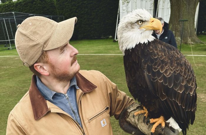 Falconry day out
