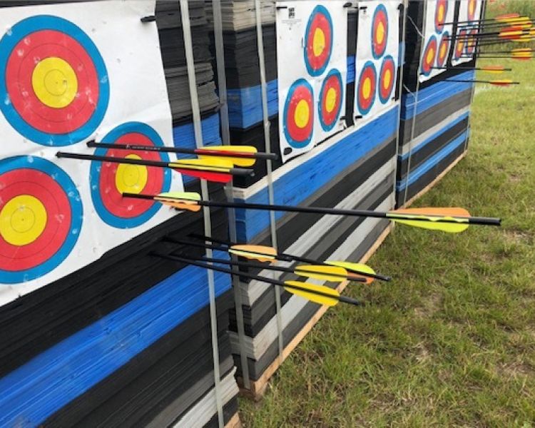 Arrows in targets for archery