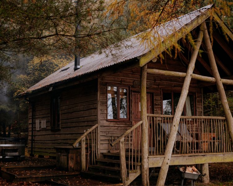 Tree lodge