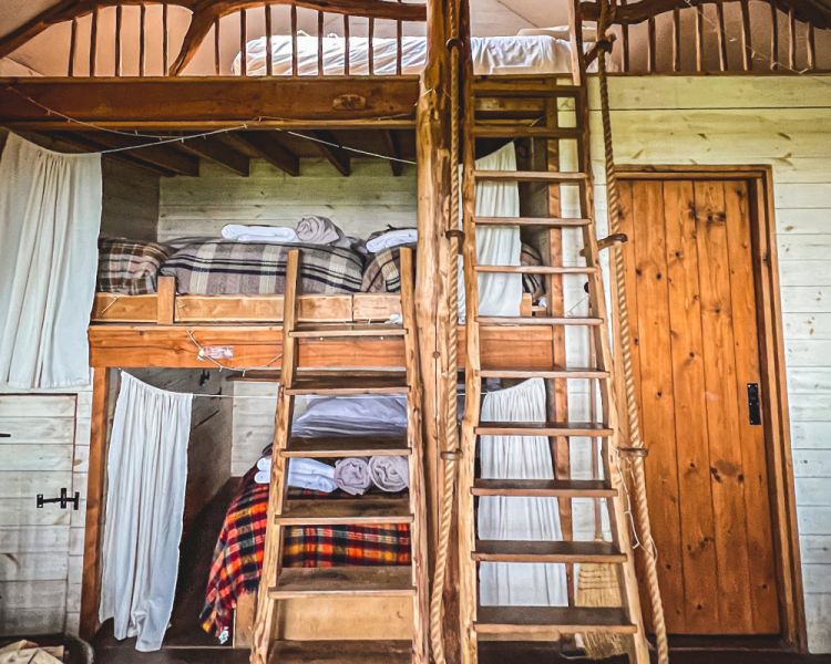 Tree lodge interior