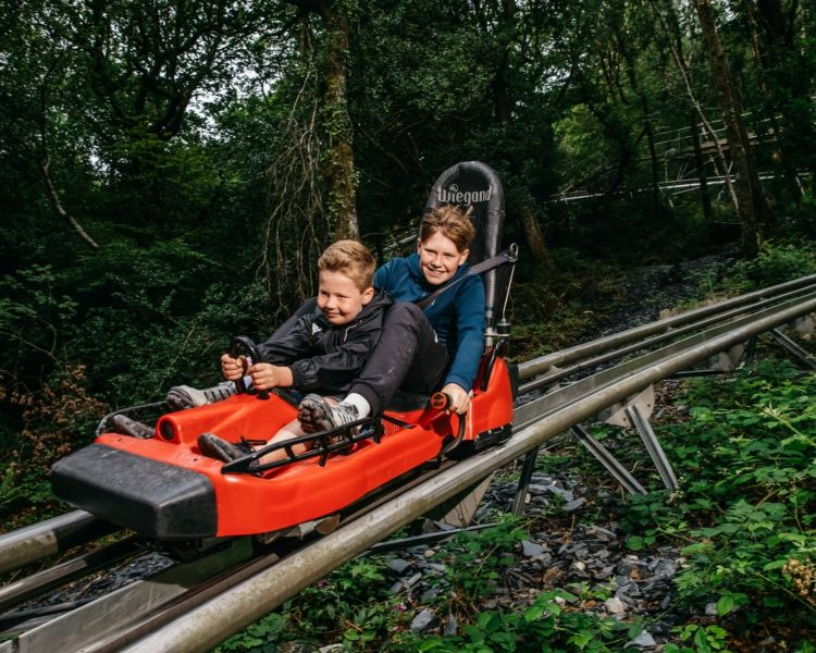 two children on a fforest coaster ride experience through forest