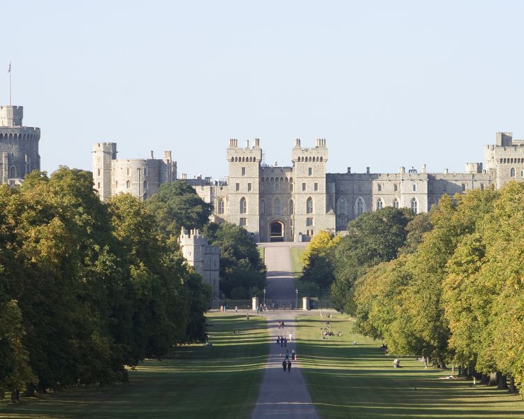 windsor castle with trees and gardens in front