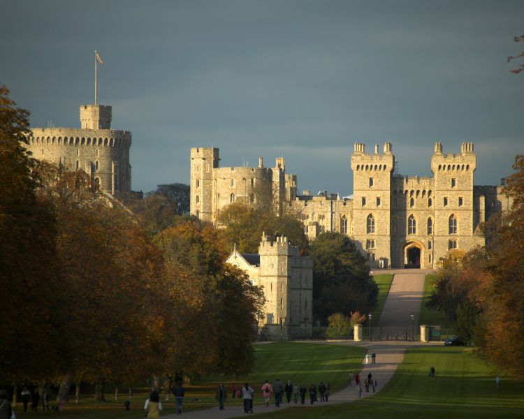 view of windsor castle seen from the gardens