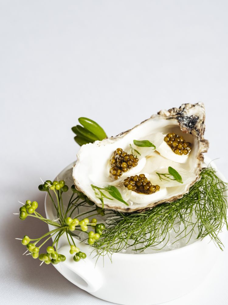 corrigan's mayfair two course dinner plus optional wine pairing